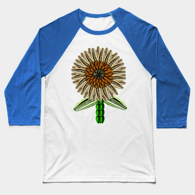 Sunflower Seeds Sunflower Baseball T-Shirt by BlaineC2040